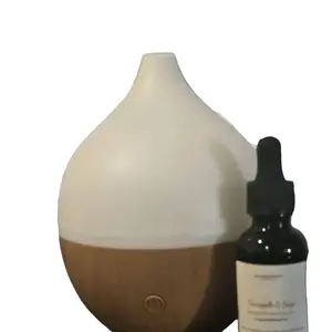 Home diffuser electric