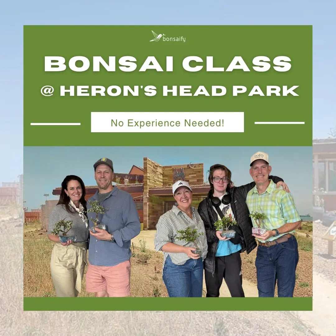 Bonsai Classes at the Ecocenter at Heron's Head Park