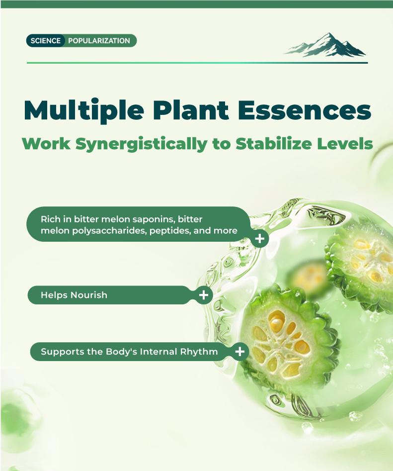Spiny Bitter 1 Gourd Capsule Plus natural herbal bitter gourd extract, used for overall body balance care#Summervibes