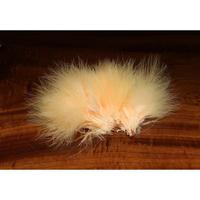 Spawn's Southern Fl. Peach