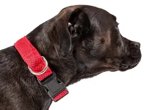 Pet Life   'Aero Mesh' Dual-Sided Breathable and Adjustable Thick Mesh Dog Collar