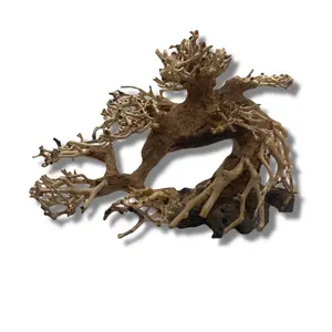 Bonsai Tree Driftwood for fish, reptile, and amphibian enclosures! Natural decor for aquariums, terrariums, Vivariums, and more!