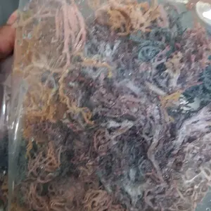 Full Spectrum Sea Moss from St. Lucia, High-Quality Dried Wildcrafted Organic