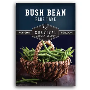 Blue Lake Bush Bean Seeds - Compact Bush Bean
