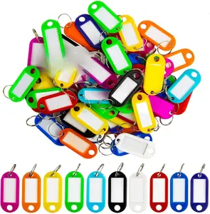 60 Pcs Key Ring Tags - Key Tags Plastic Assorted Colours,Identifiers,Name and Labels,Adapt to USB Drive,Pets,Bags Split Ring Window Lucky Line Flexible Colored