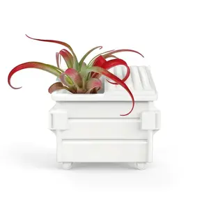 Fancy Plants Dumpster Air Plant Holder
