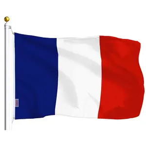 France (French) Flag 75D Printed Polyester 3x5 Ft