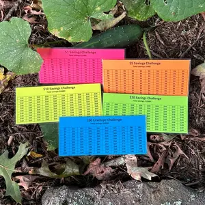 Money Savings Challenge - set of 5 *summer set* 2024