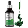 Horbäach Liquid Chlorophyll Drops - 2 oz - Vegan, Non-GMO, and Gluten Free Formula - Natural Peppermint Flavor