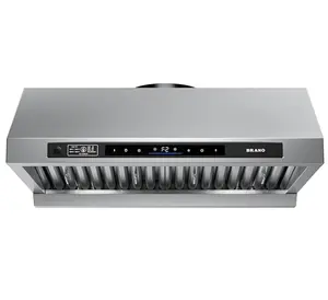 BRANO 30 Inch Under Cabinet Range Hood，1200 CFM DC Motor Kitchen Hood，Stainless Steel Ducted Vent Hood with Voice/Gesture/Touch Control,6 Speeds Fan