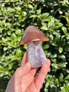 Hand Carved Agate Mushrooms