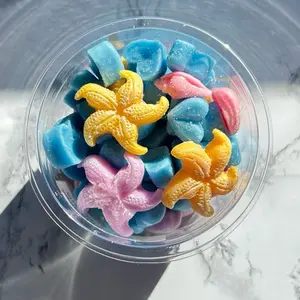 Wax Melts Minis Variety Bright Colors Mila Bliss Beautiful Aroma Variety Shapes