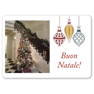 Pack of 10 Post Cards (EU + Rest of World) with Envelopes (Other Size)- Buon Natale