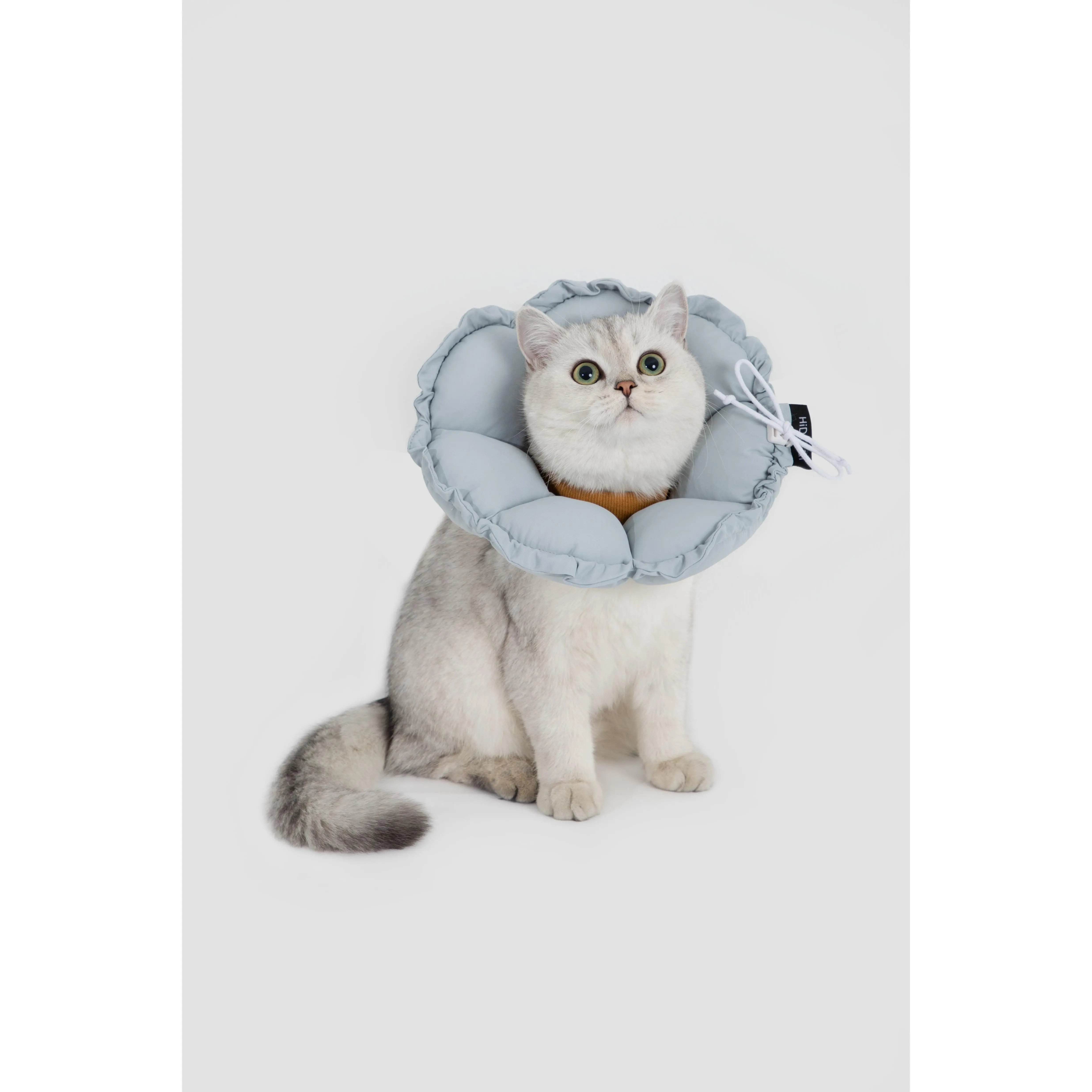 FloraCone - Elizabethan collar
