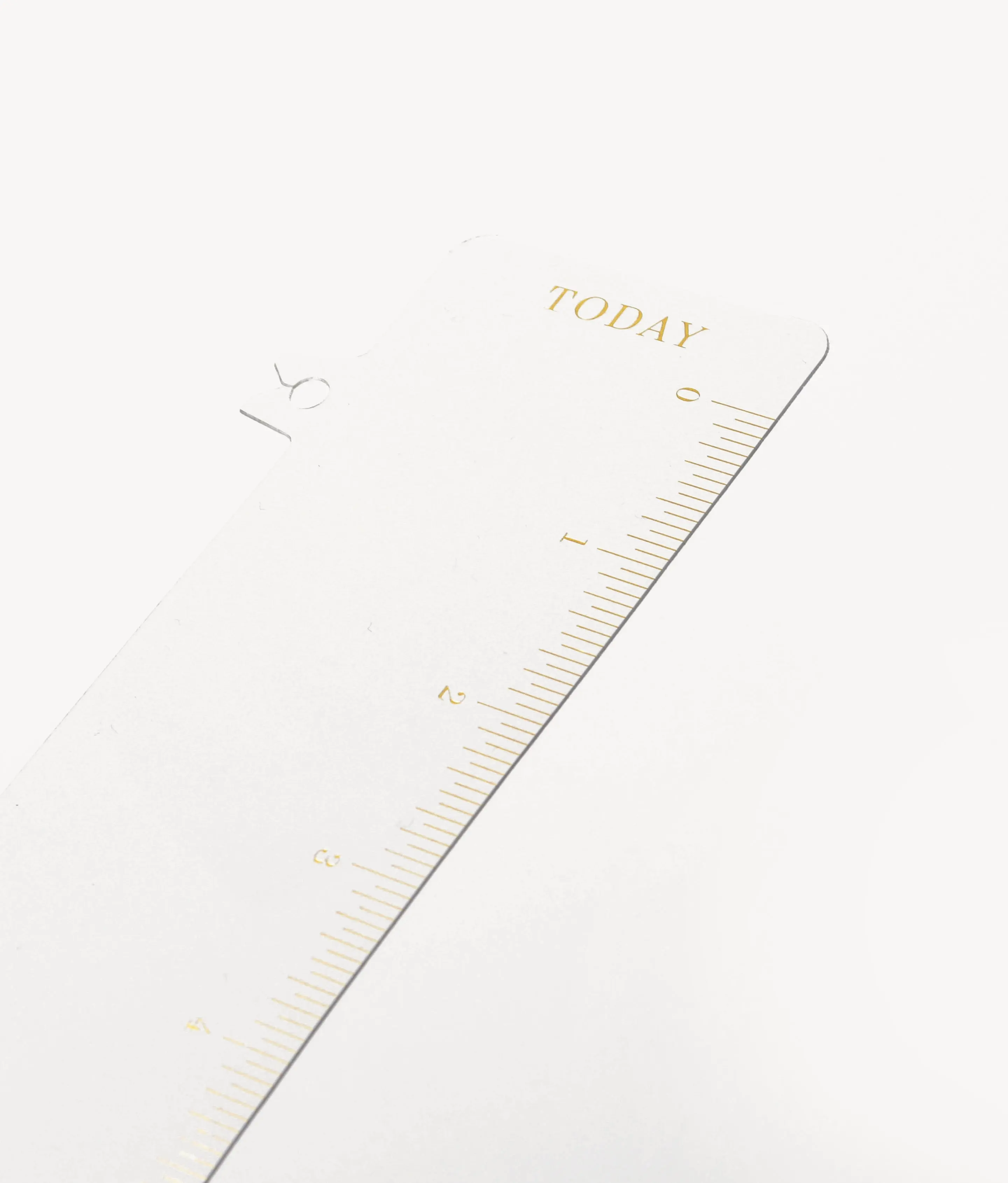 Flagship Mini Bookmark Planner Ruler