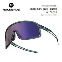 Dark Gray Purple(Polarized lens)