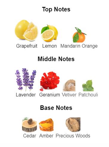 Armaf Ventana for Men Eau de Parfum Spray, 3.4 Ounce Armaf Ventana for Men Eau de Parfum Spray, 3.4 Ounce