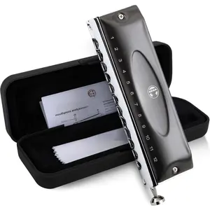 Chromatic Harmonica Valveless for  Adult Beginners 12 Hole Harmonica Key of C Stainless Steel Mouth Organ with Brass Reed in Case, C Key Black