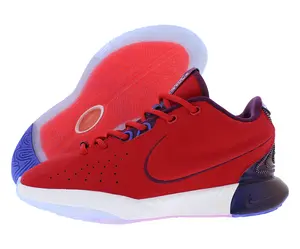 Nike Lebron XXI SE GS Boys Shoes