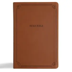 USED-NASB Large Print Thinline Bible, Value Edition, Brown Leathertouch by Holman Bible Publishers (Imitation Leather)