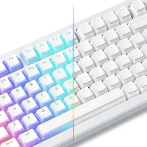 Womier Pudding Keycaps, PBT Keycaps 129 Keys, Shine Through Key Cap, OEM Profile foir  60 65 75 100 Percent  MX-stem Switches Keyboard