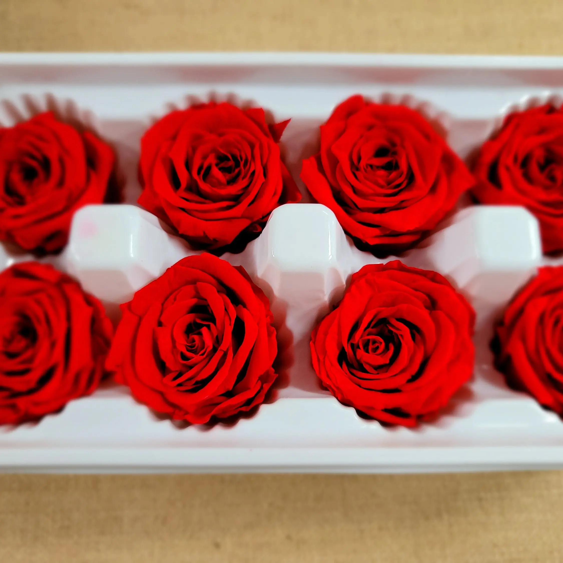 8 Dried Red Preserved Roses / Prom, Mother's Day Flowers, Wedding Decor, Red Roses For Bouquet, Vase, Home Decor & DIY Floral Arrangements
