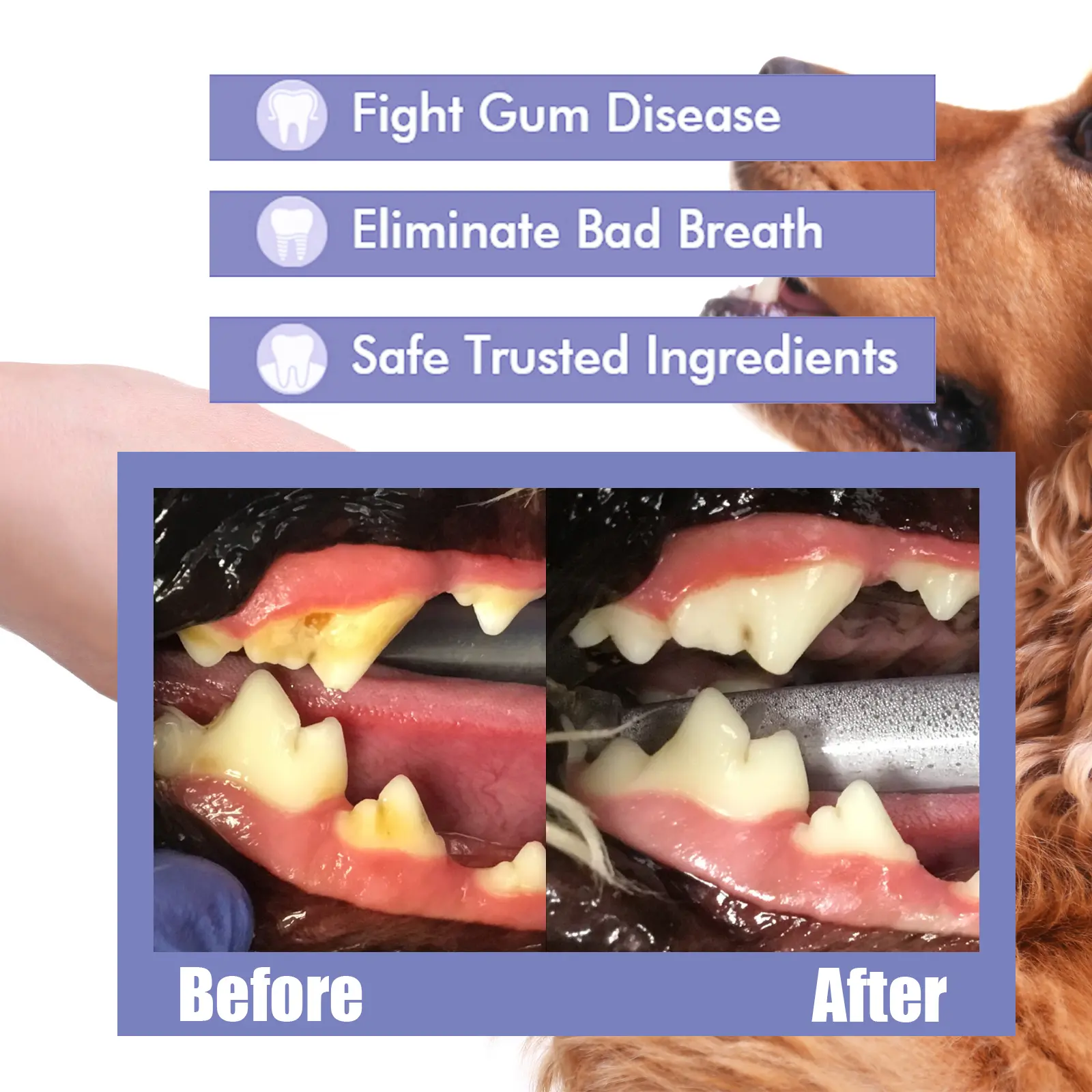 Pet Dogs & Cats Dental Care Spray, Vet-Recommended Breath Freshener & Teeth Cleaning Spray, Eliminate Bad Breath, Relieve Gum Redness & Infections, Reduce Plaque & Tartar, No Brushing