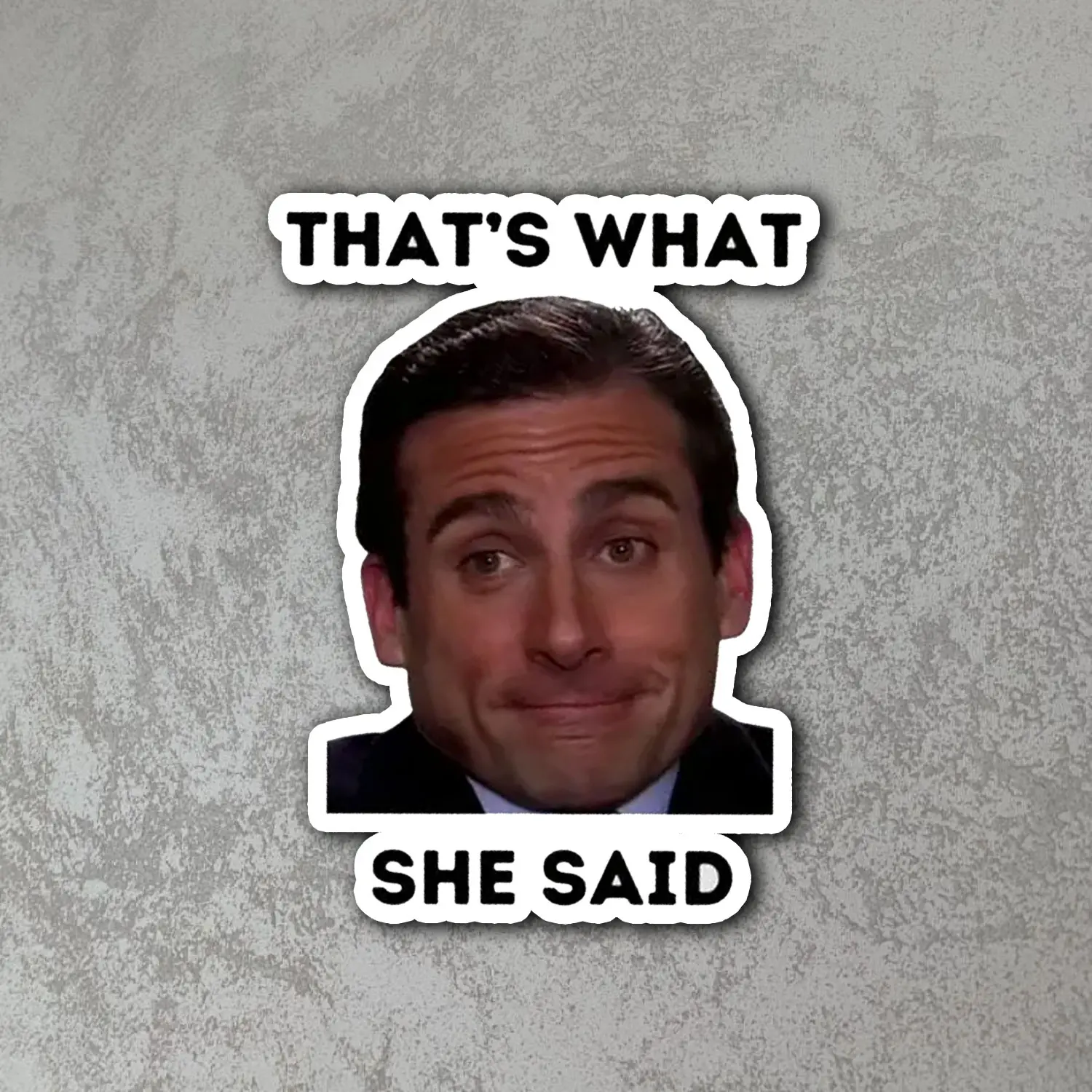 That Is What She Said Funny Office Style Meme Sticker Classic Joke Humor Reaction Vinyl Decal Waterproof Laptop Car Water Bottle Bumper Sticker Gift Idea