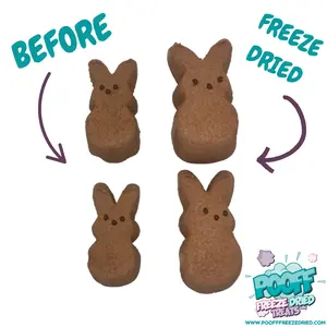Freeze Dried Chocolate Pudding Marshmallow Bunnies (3 Pack)