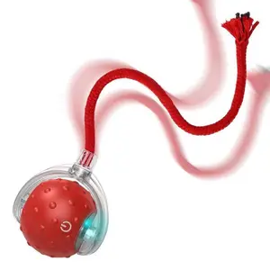 Interactive Rolling Cat Ball 360 Degree Smart Automatic Rolling Pet Ball