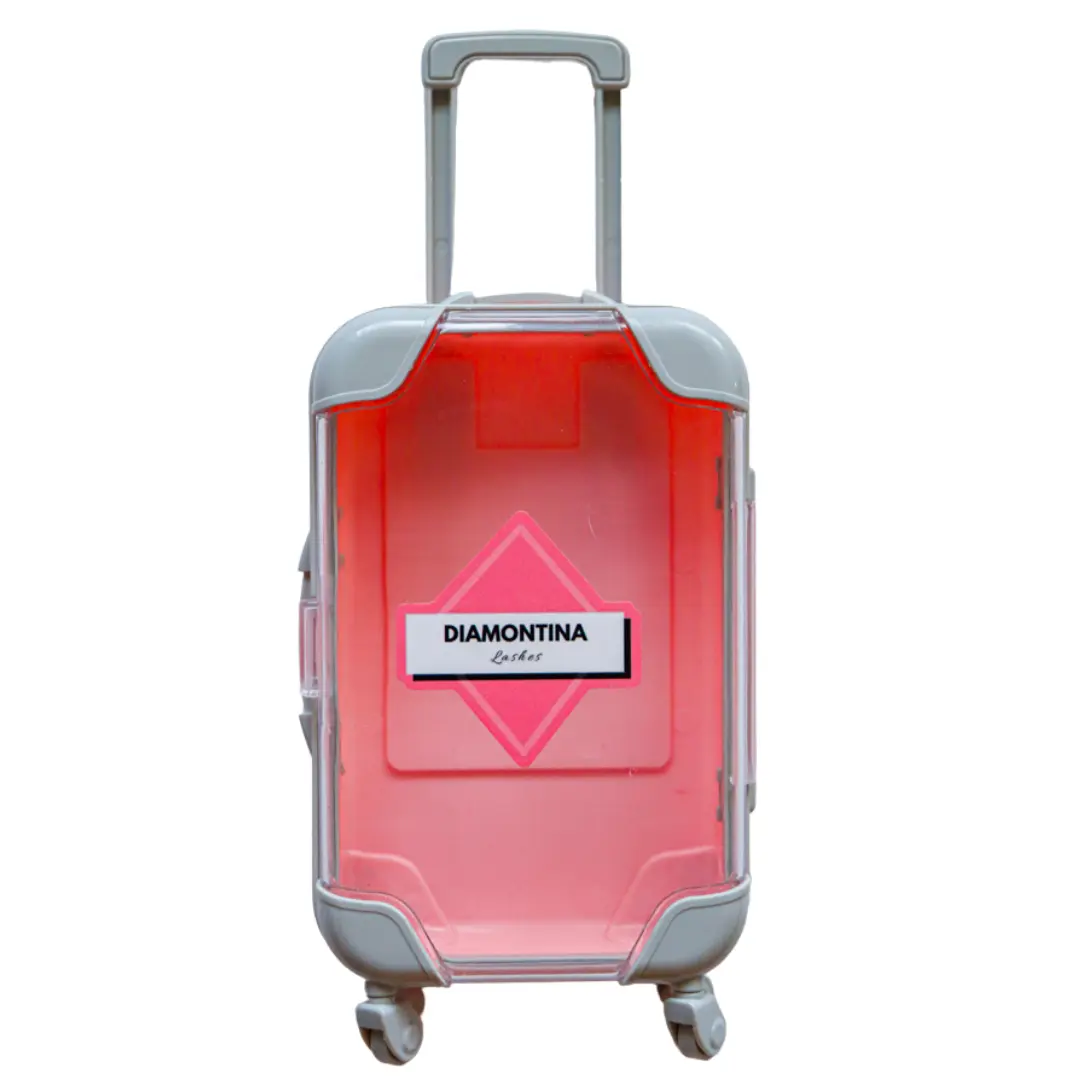 Mini Suitcase Mini Suitcase