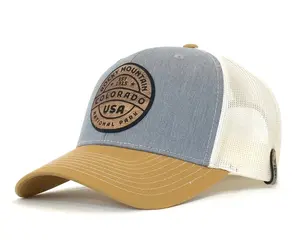 ROCKY MTN WOOD 6-Panel Curved Snapback, Richardson 112 Grey