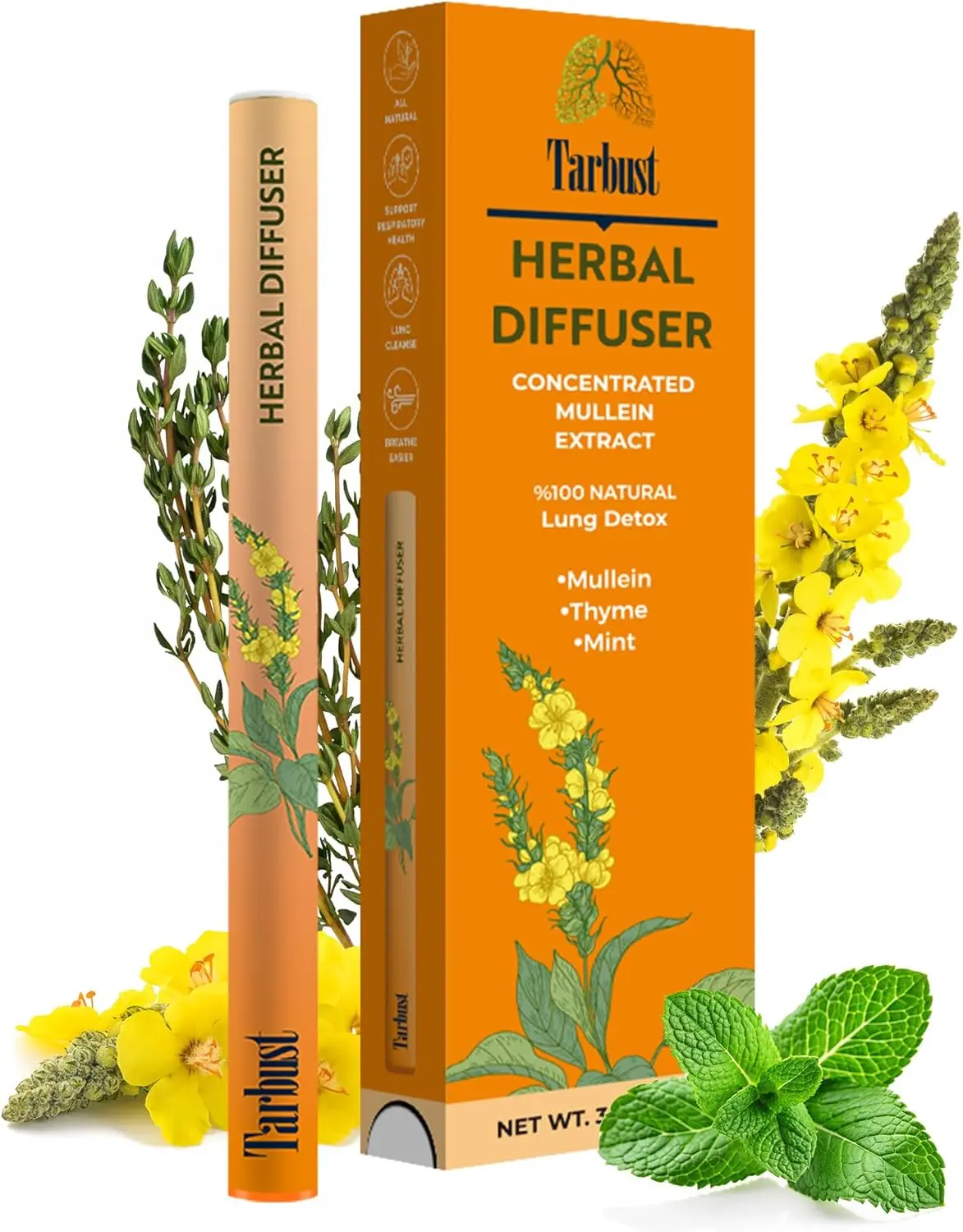 Tarbust Botanical Fragnance Accessory, Mullein, Thyme & Mint Scent, Non-Electronic Respiratory Wellness, Relaxation, Stress Relief, 1 Pack