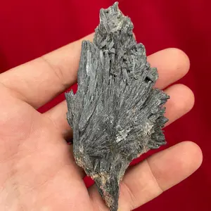Black kyanite crystal