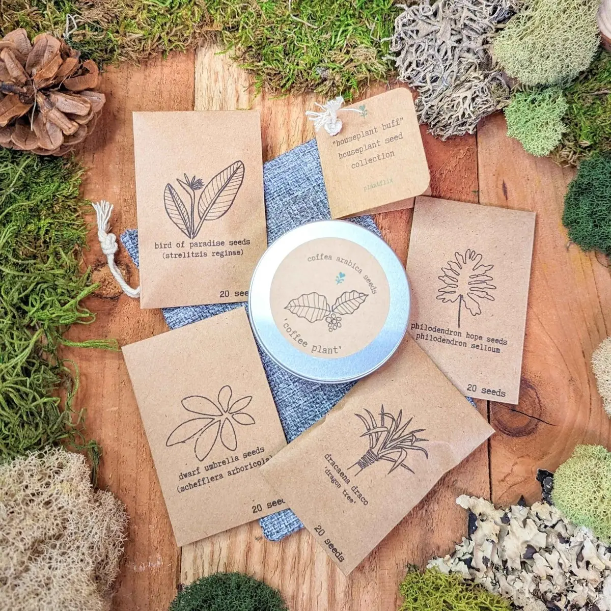 "Houseplant Buff" Houseplant Seed Collection