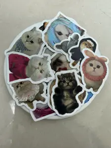 Funny Random Sticker Pack – 5 Cute Cartoon & Animal Stickers