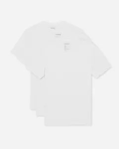Express 3 Pack Supersoft V-Neck T-Shirts