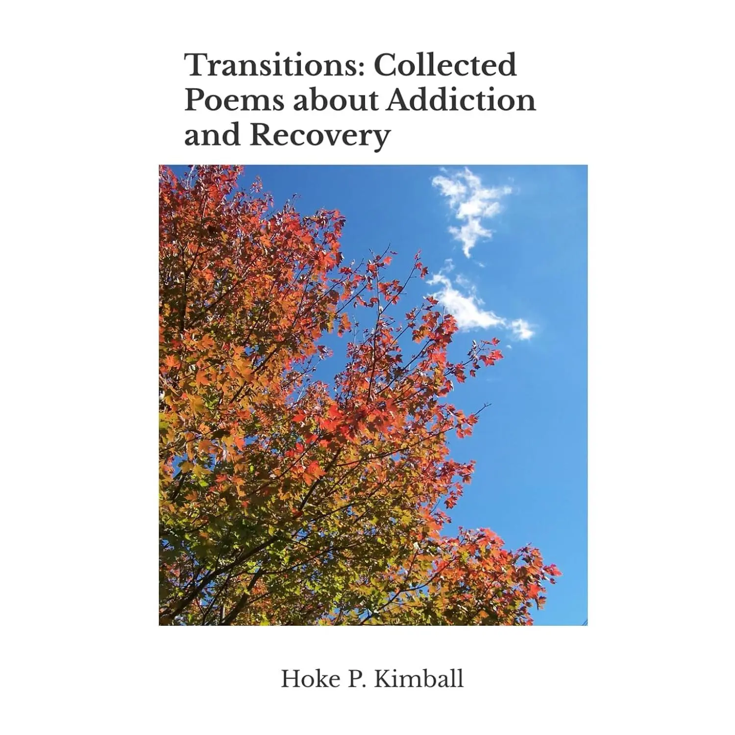 Transitions: Collected Poems about Addiction and Recovery