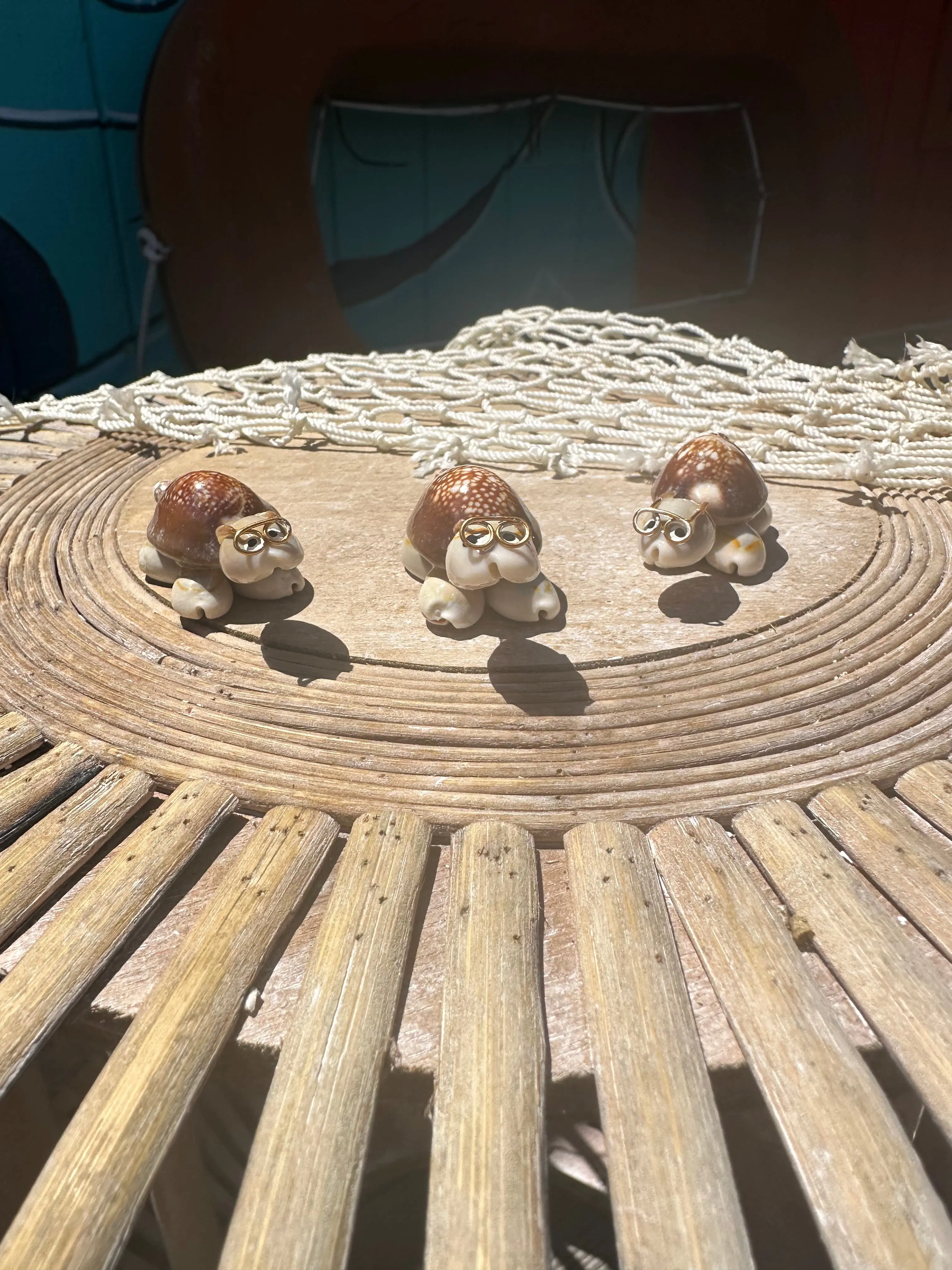 Sea Turtle Seashell Critters Sea Turtle Seashell Critters