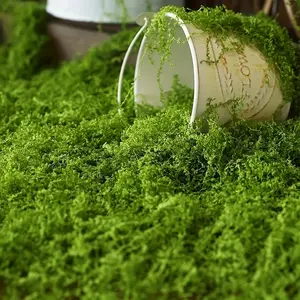 Artificial Moss Lawn 50g/1.76oz, Fake Moss for Potted Plants, Greenery Moss Home Decor, Fairy Garden Crafts, Wedding Decoration, Outdoor Fake Plants