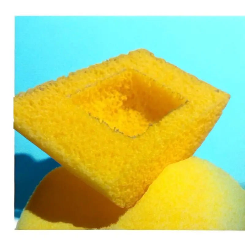 Clamshell Boat Sponges for DIY Projects