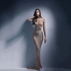 2025 Spring Fashion Hot Diamond Women's Mesh See-through Long Sleeve Slit Maxi Dress