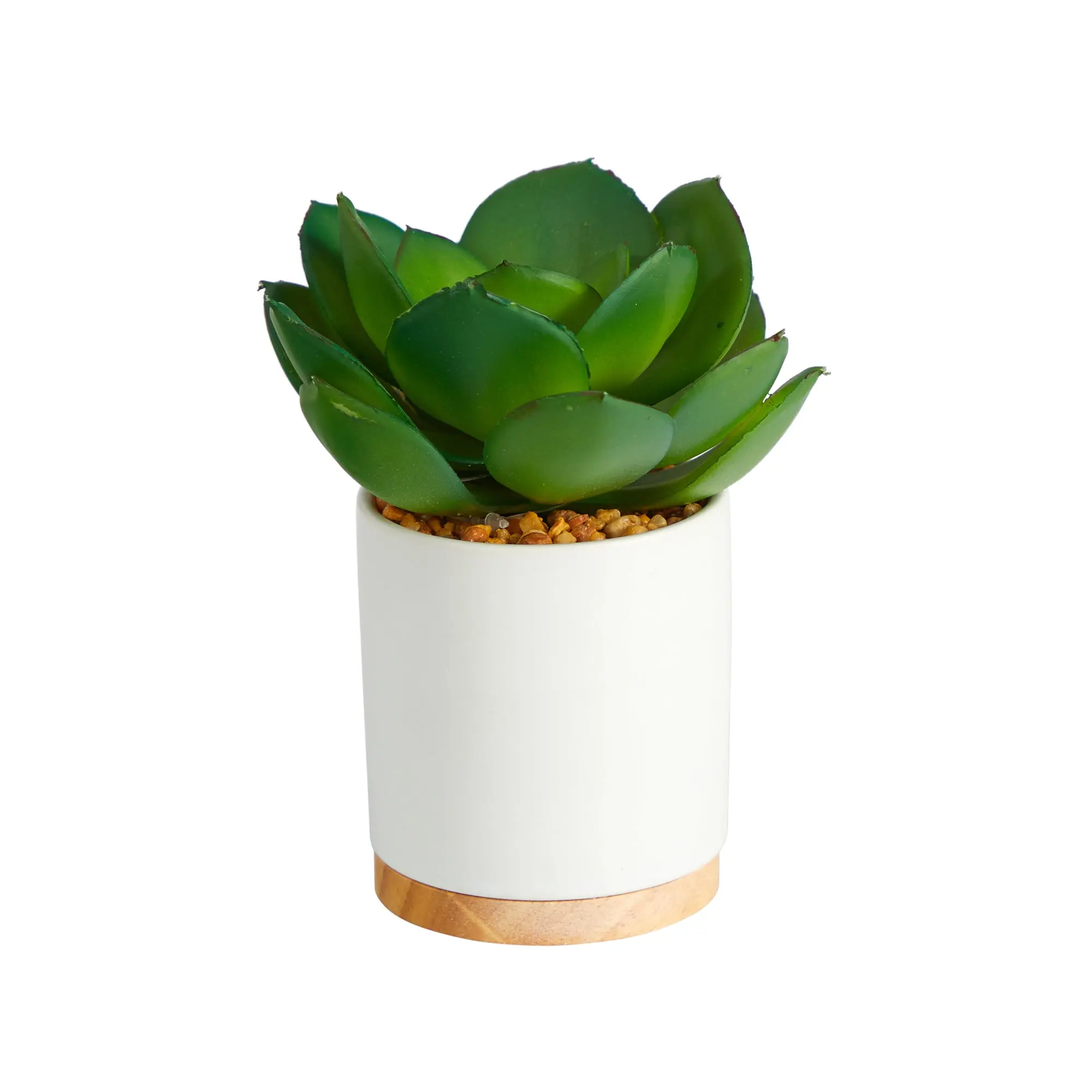 6” Succulent Artificial Plant in White Ceramic Planter 6” Succulent Artificial Plant in White Ceramic Planter