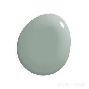 Morning Rain - Manor Borne Wall Paint