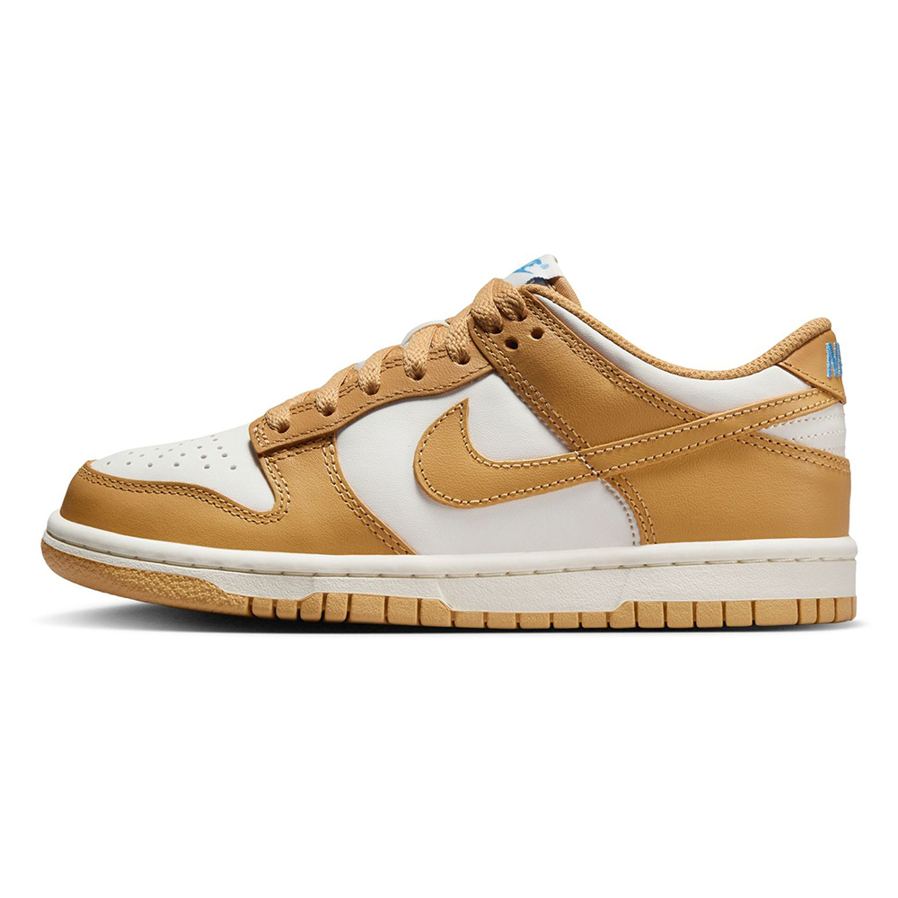 Youth Nike Dunk Low Honeycomb/Honeycomb Sail (FB9109 700) (GS)
