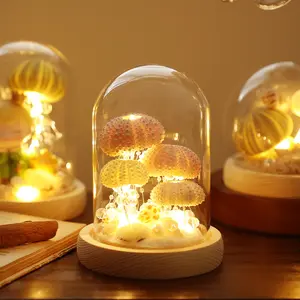 Shell sea urchin night light handmade tabletop ornament friend birthday gift