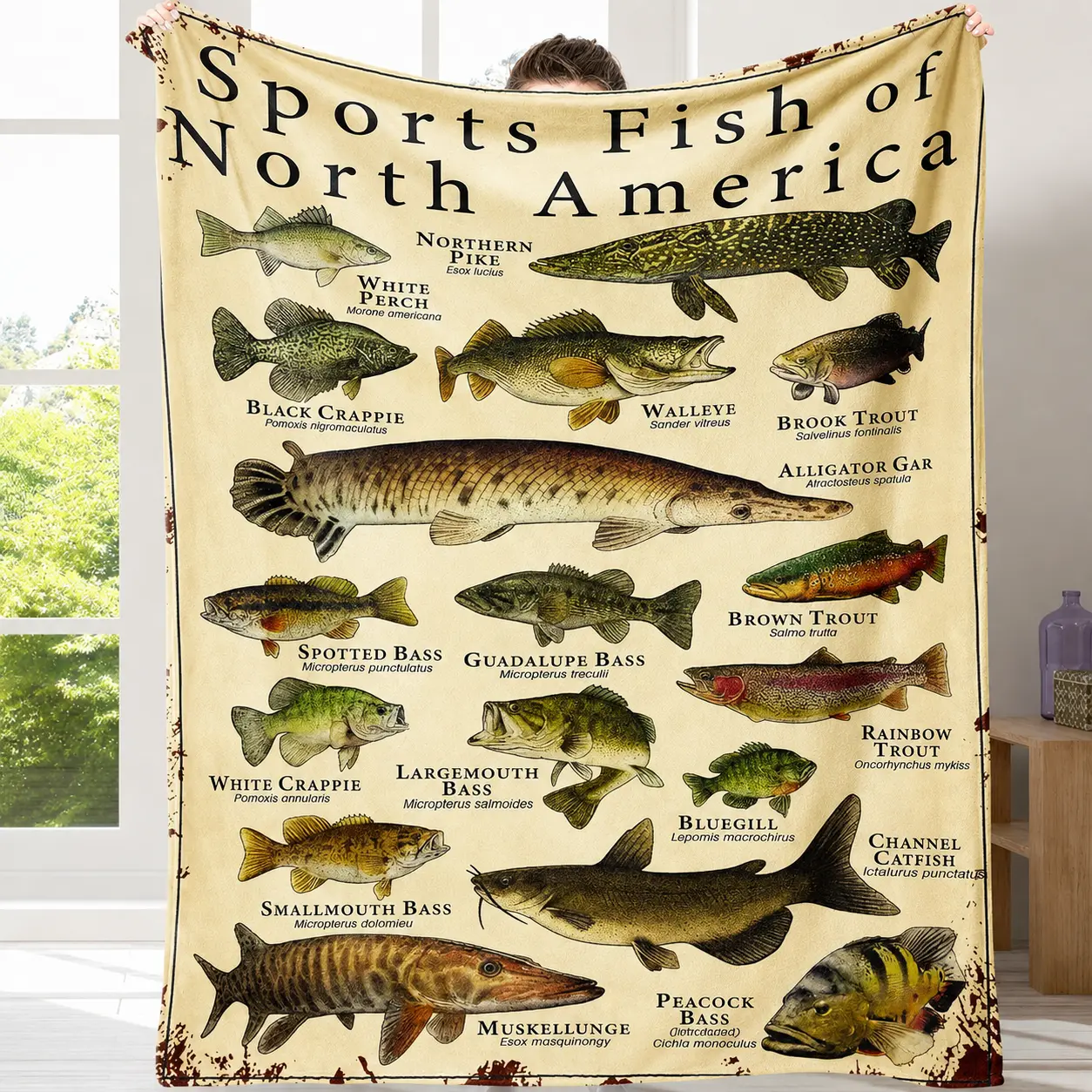 Vintage North America Sports Fish Fleece Throw Blanket with Fish Illustrations, Breathable Fleece Softness, for Indoor Sofa Bed & Cabin Decor, Fisherman Gift (Bass, Trout, Pike, Catfish Designs)