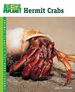 USED-Hermit Crabs by Frischmann, Carol (Paperback)