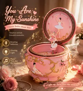 “You are my sunshine” pink ballet rotating swan music box, 3D character wind-up music box with lights, romantic birthday gift for girlfriend, home decoration