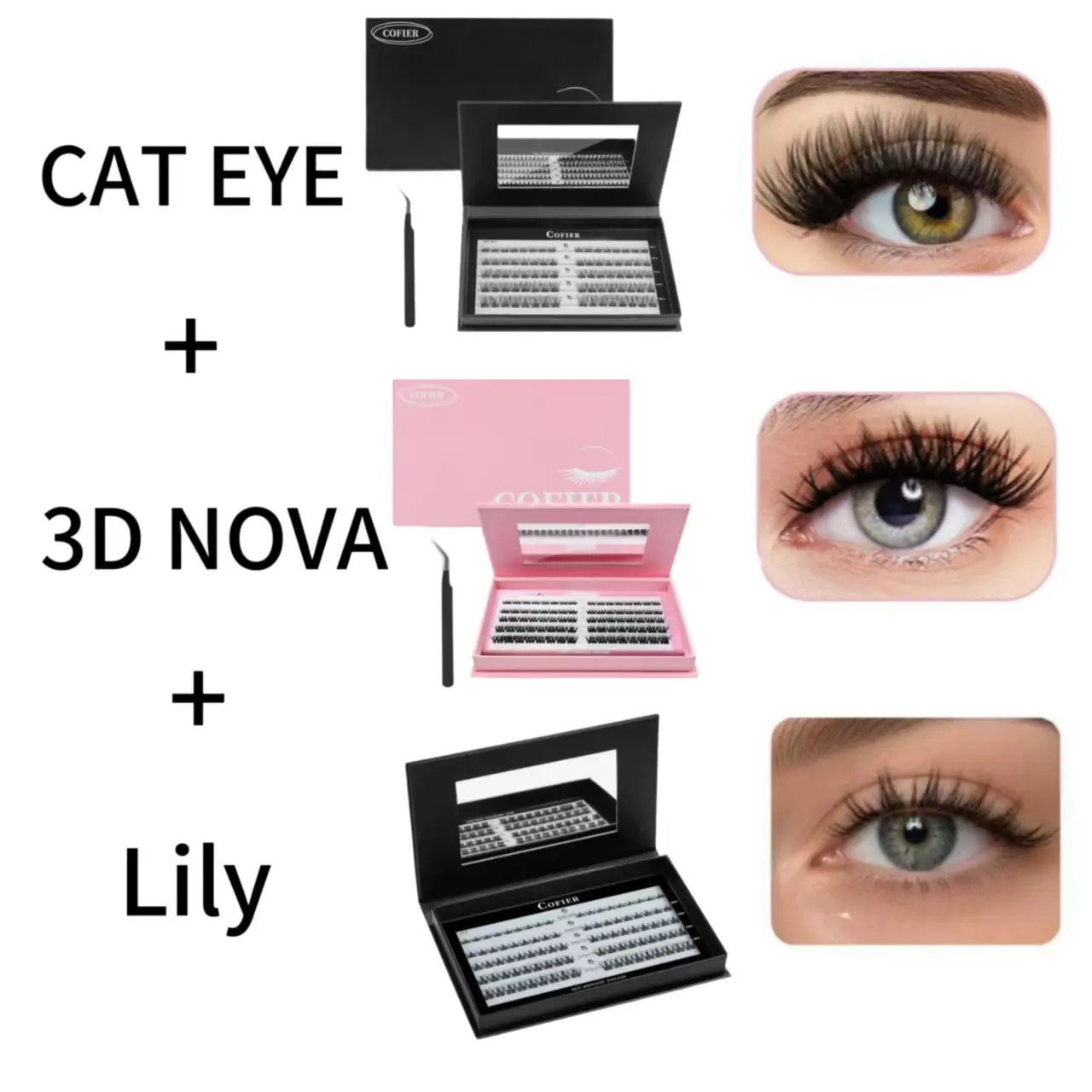 All set(cat/3d nova/lily)